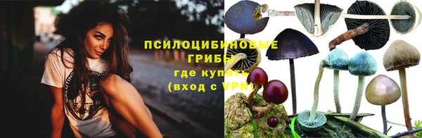 тгк Кулебаки