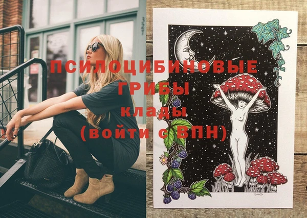 тгк Кулебаки