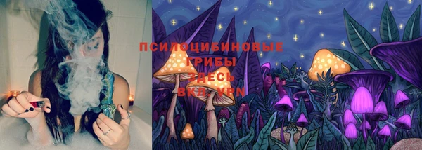 тгк Кулебаки