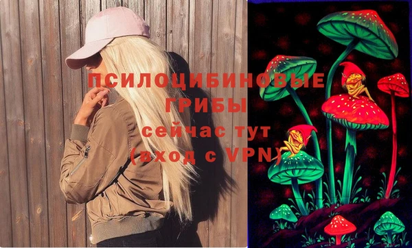 тгк Кулебаки