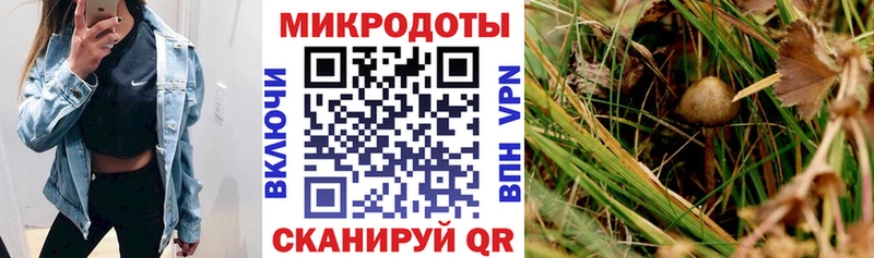 Псилоцибиновые грибы Magic Shrooms  Купить  Кандалакша 